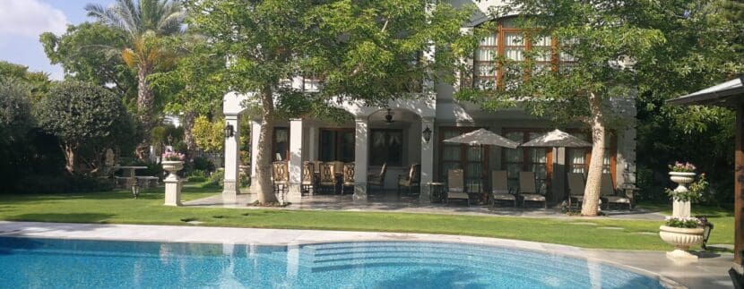 Tall trees beside the pool